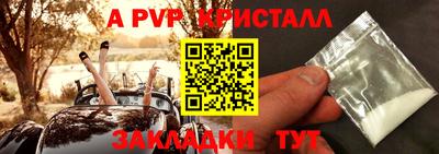 гашик Бердск