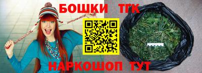 гашик Бердск