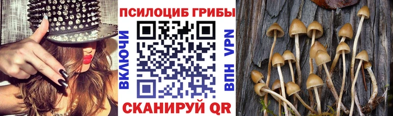 Псилоцибиновые грибы прущие грибы Курган