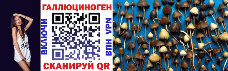 гидра вход  Курган  Галлюциногенные грибы мухоморы 