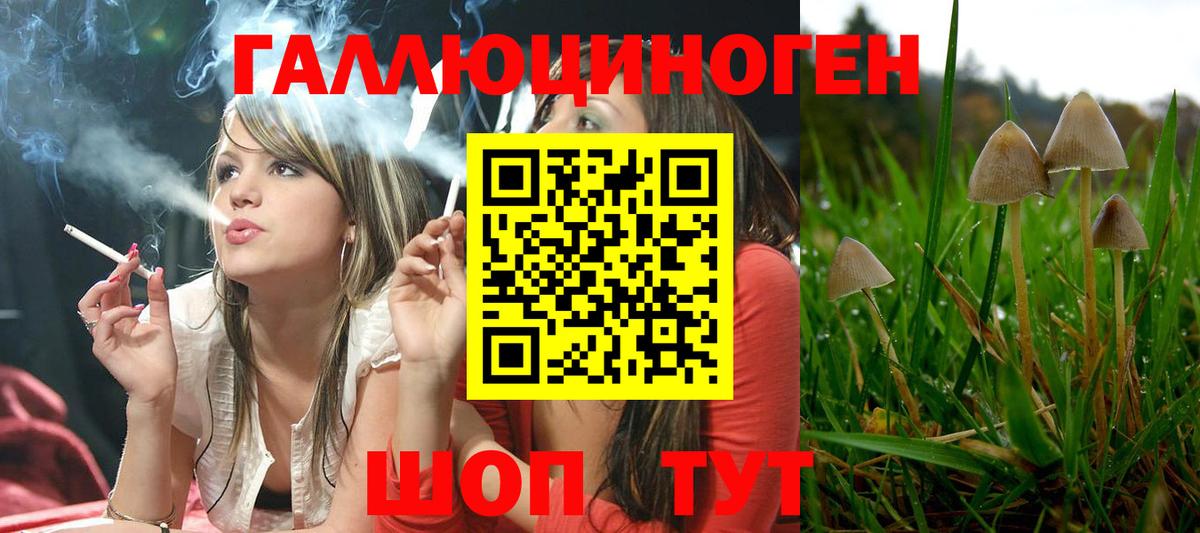 магазин продажи   Галлюциногенные грибы прущие грибы  Вход с VPN  Курган 