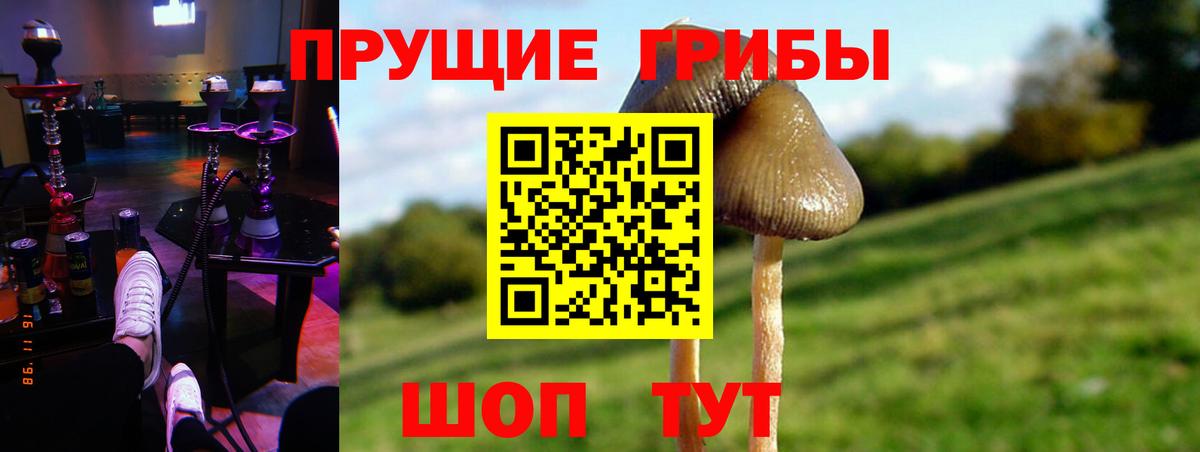 Галлюциногенные грибы мухоморы Курган
